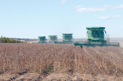 图片新闻:黑龙江垦区大西江农场大豆收获工作全面展开