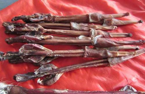 鹿鞭鉴别方法,教你如何辨别鹿鞭的真假