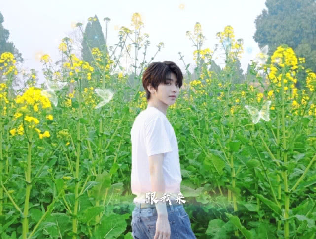男明星与油菜花合影,王源俏皮肖战唯美,看到薛之谦:小机灵鬼