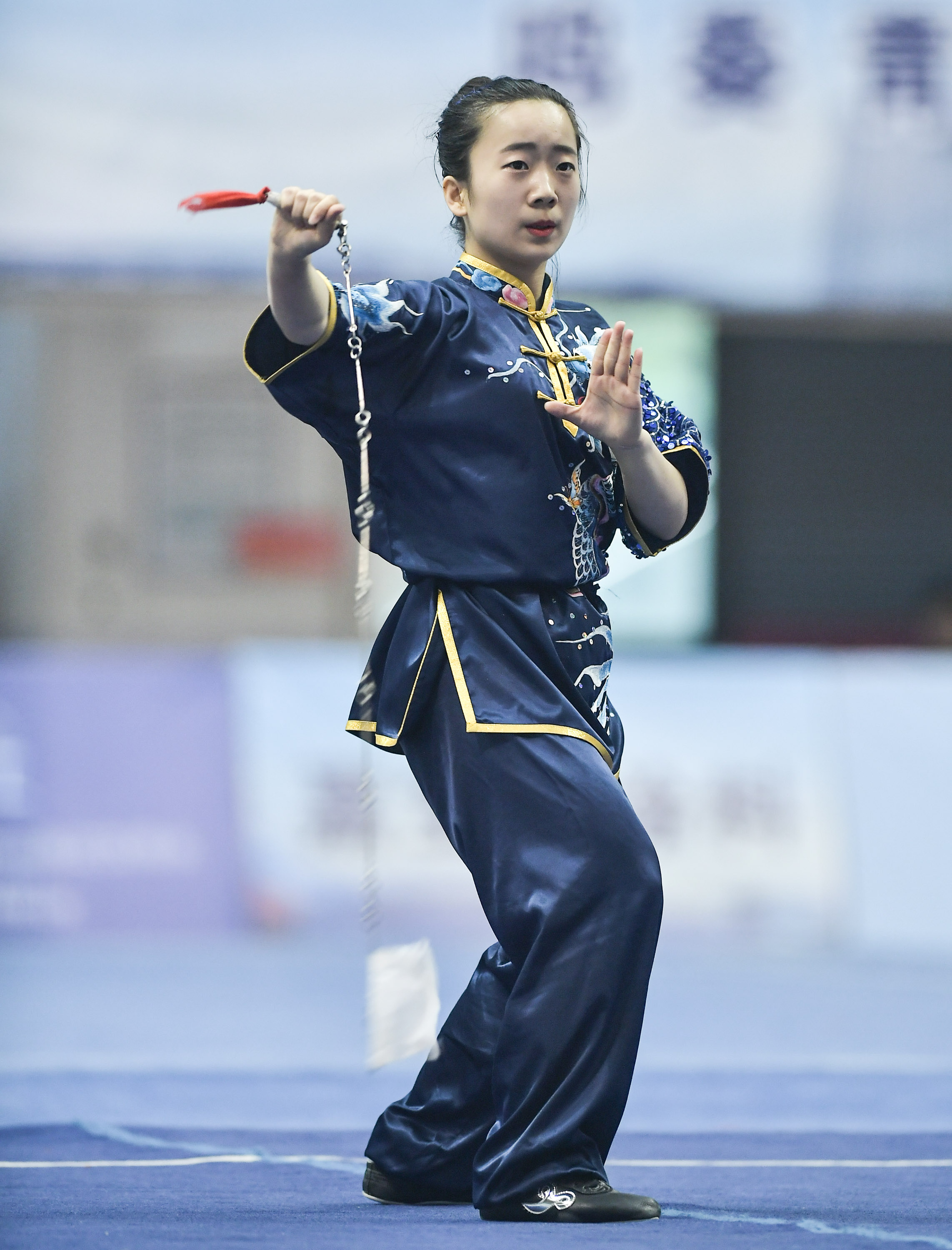 武术——武术高手成都"论剑"