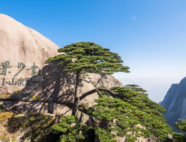 這樣的黃山,我保證你絕對心動了.黃山迎客松.