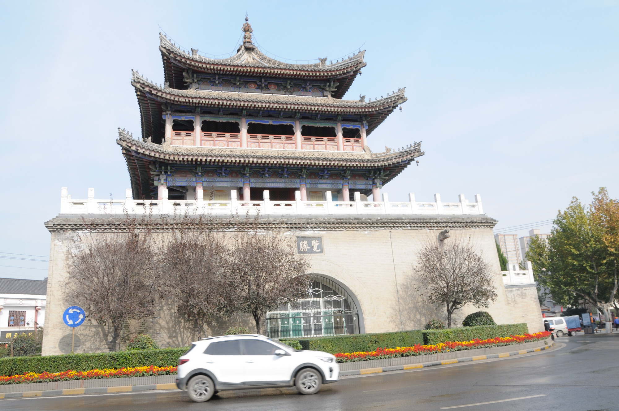 西安户县千年古树下偶遇80岁老人,他口中的老户县,网上搜不到