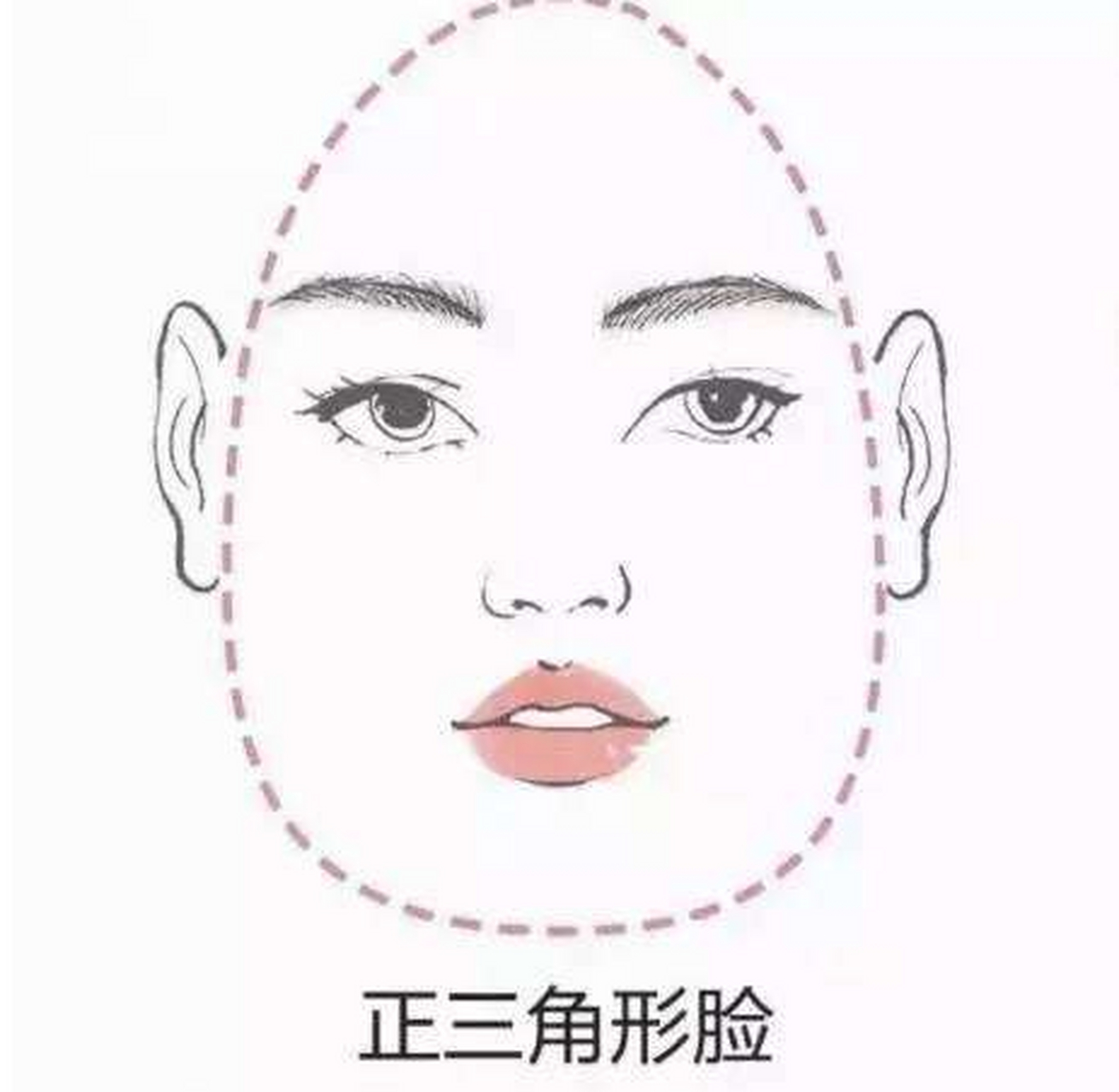 正三角形由字脸的人,行动型,轻思考,重实际,这类人一般听不进别人的
