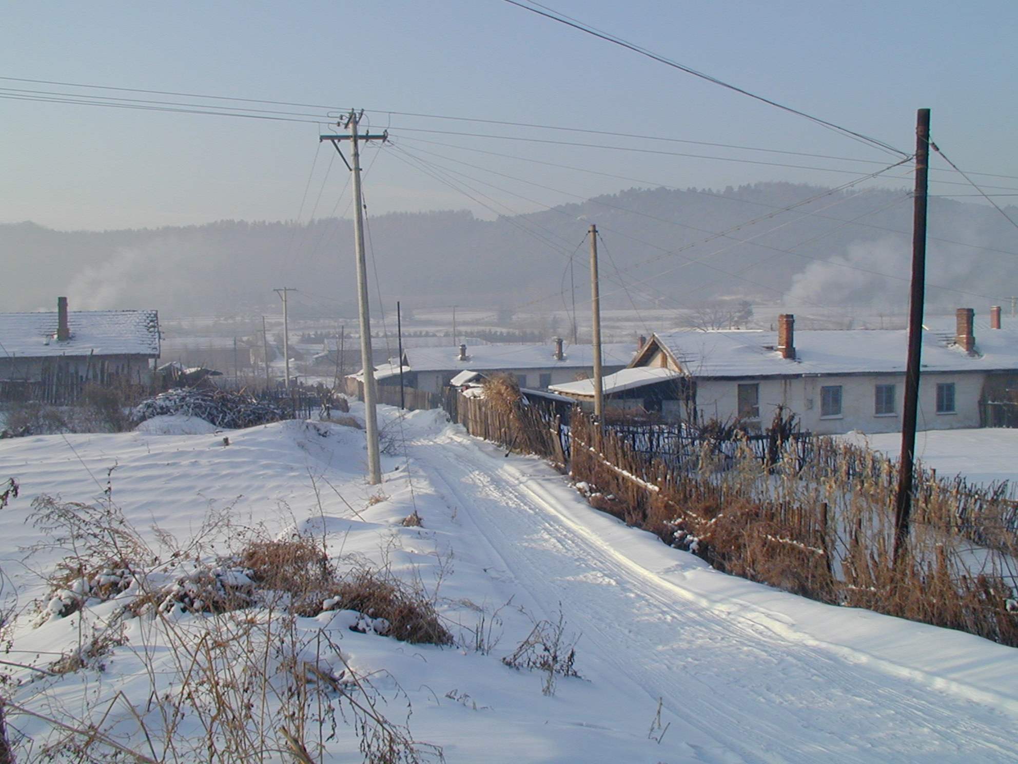 东北雪天赶大集,壮观场面南方人看懵了,还有这种操作?