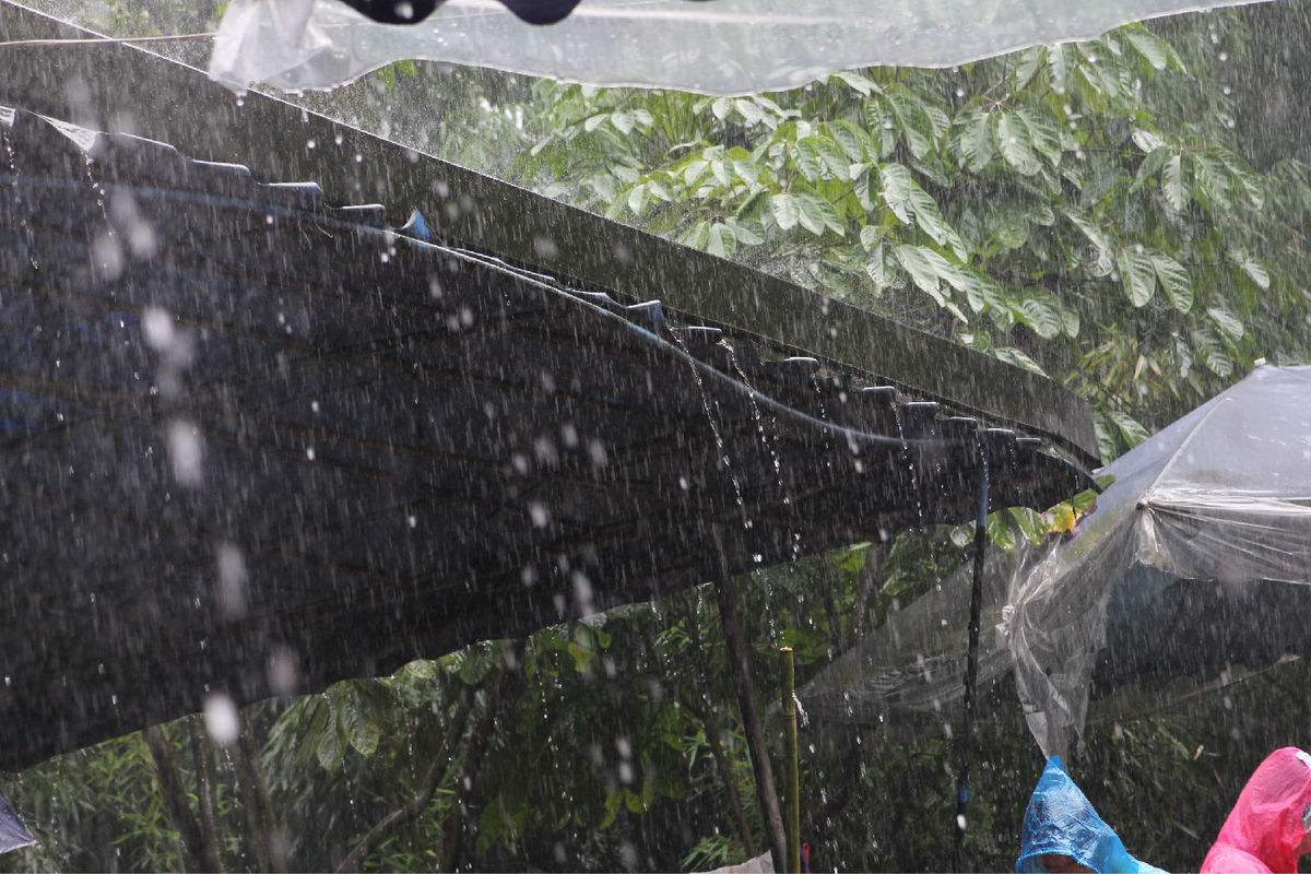 人为什么会在下雨天睡觉格外香