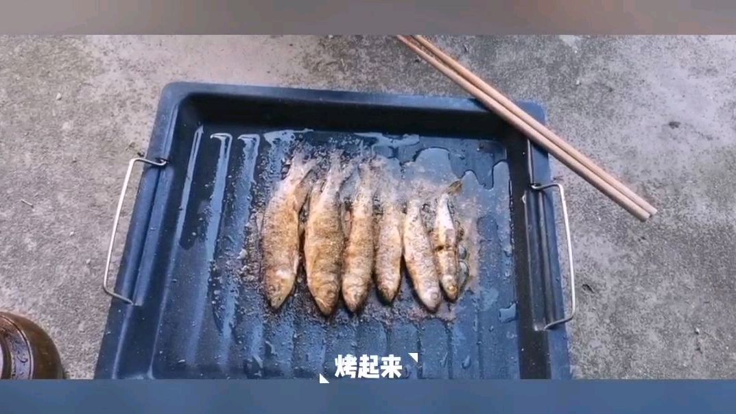 前几天捉的螺今天弄来吃,顺便烤马口鱼吃