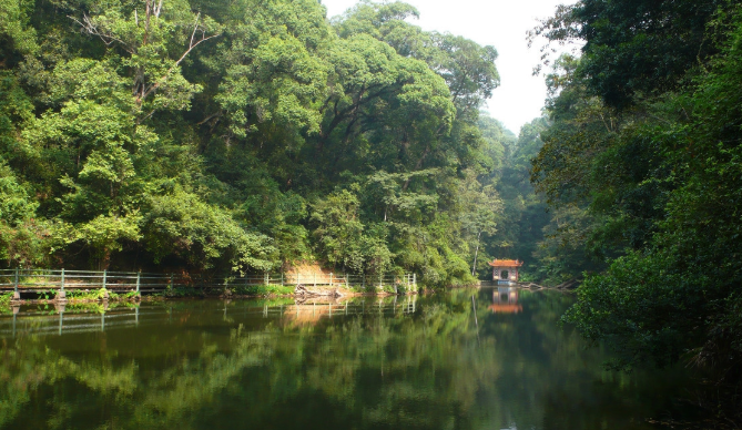 福建三明格氏栲国家森林公园