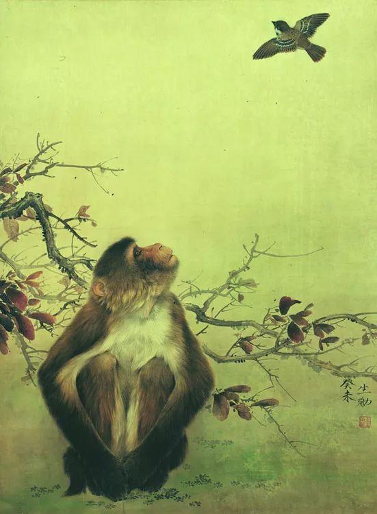 王申勇|用画笔定格了动物传神的瞬间