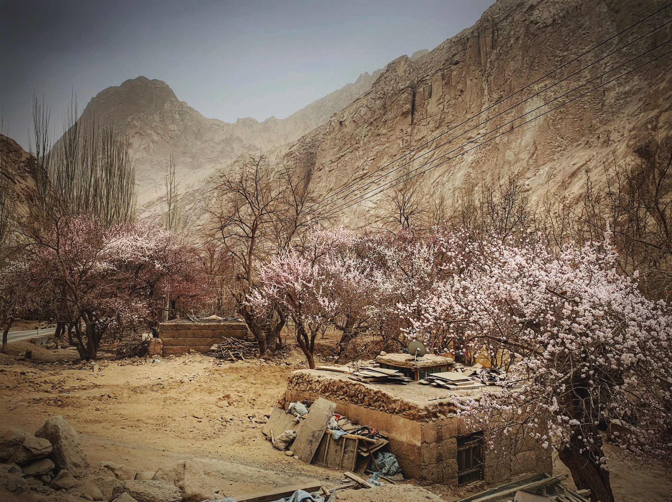 大山里的杏花 米拍摄影师@深蓝68acm 创作  新疆喀什塔尔乡杏花村,藏