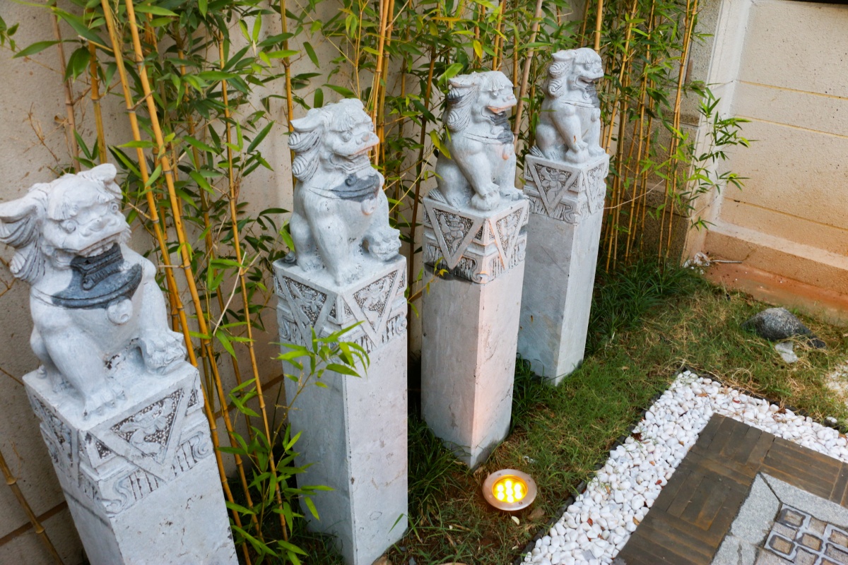 庭院- 优质问答专区