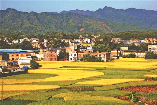 贺州市八步区莲塘镇新燕村秋景