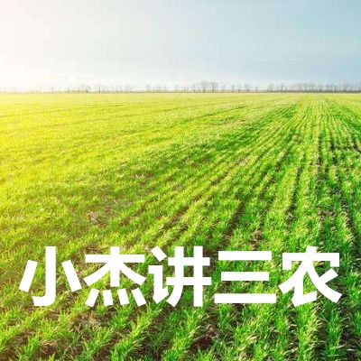 小杰讲三农百家号