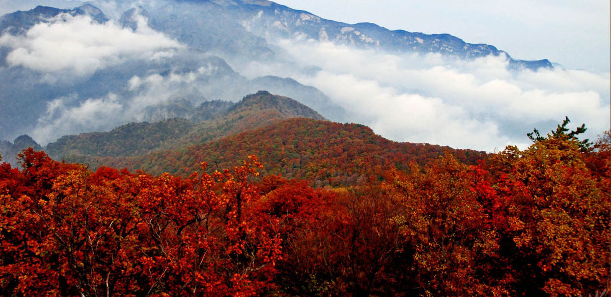 除了大兴安岭漠河北极村,晋城历山,空气非常好的知名旅游休闲场所原来