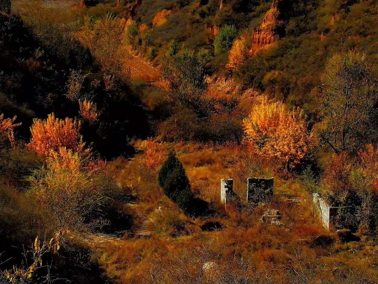 霜天万里,寒烟寥廓,绚烂的树叶即将飘落,它们开始一片一片敲打着冬天