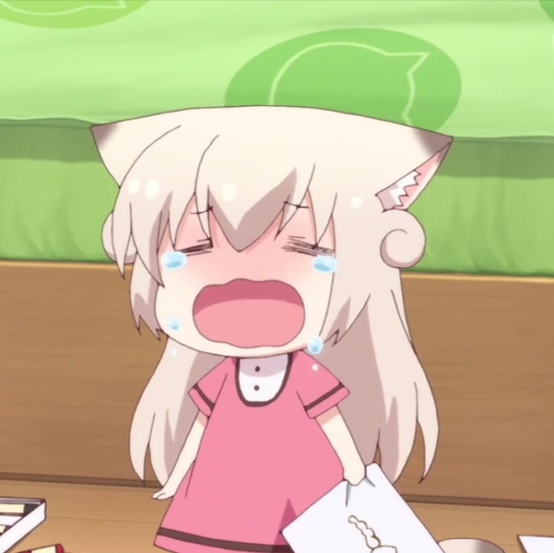 《猫咪日常》表情包及头像