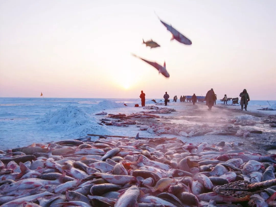 顺丰升级查干湖冬捕鱼寄递,打造预处理中心提速时效