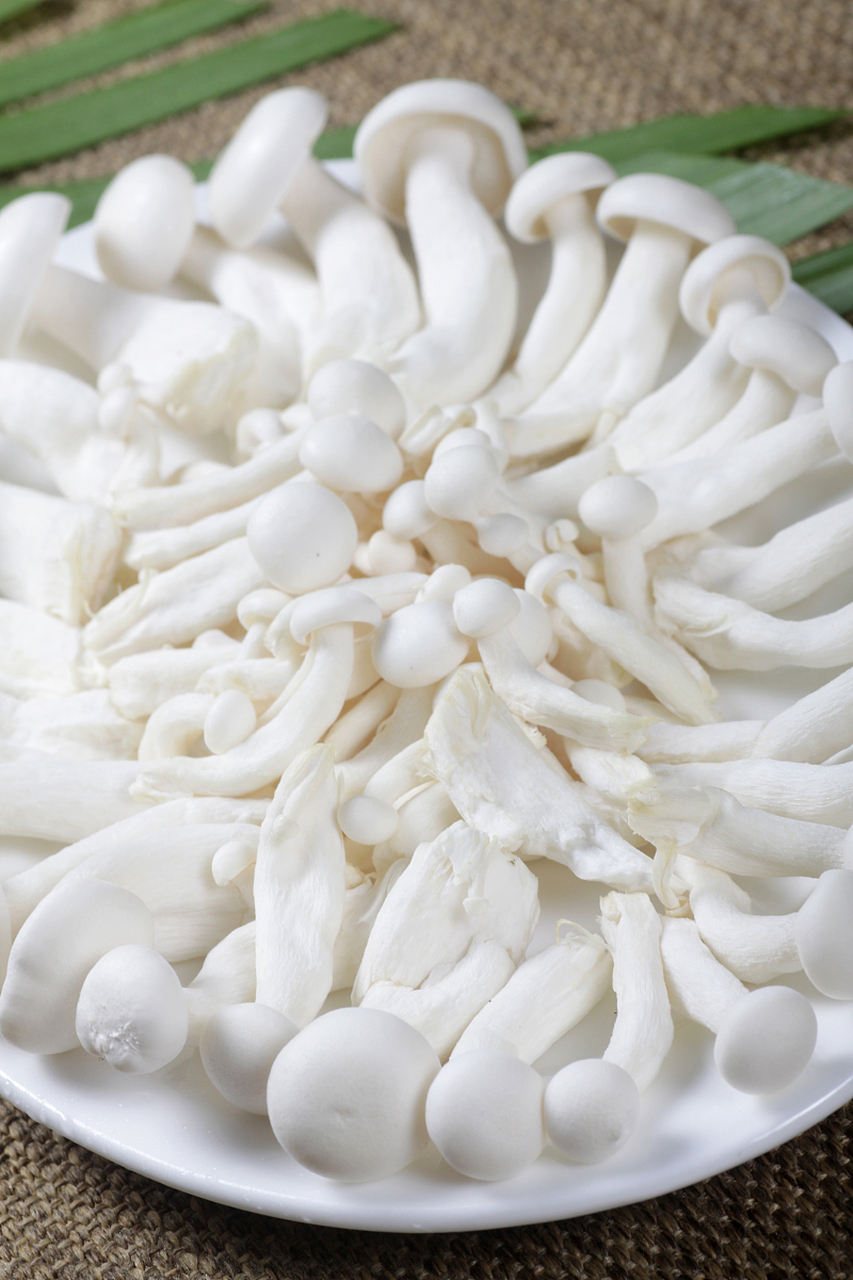 第一道:先把白玉菇焯水去除蘑菇的腥味,油热倒入3个鸡蛋摊熟盛出