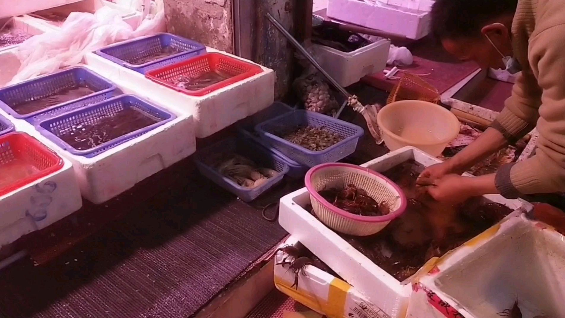 进来看看上海小龙虾多少钱一斤,我是不是买贵了?