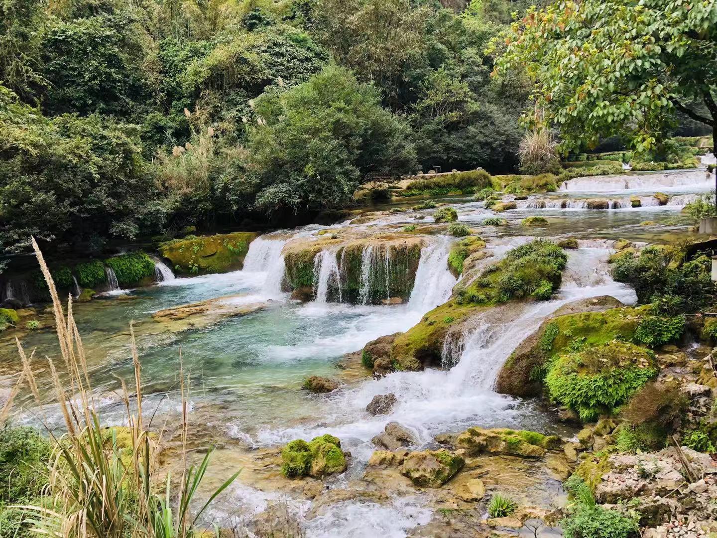 山水荔波丨摘颗地球腰带上的绿宝石,喝碗樟江美食城里的杨梅汤