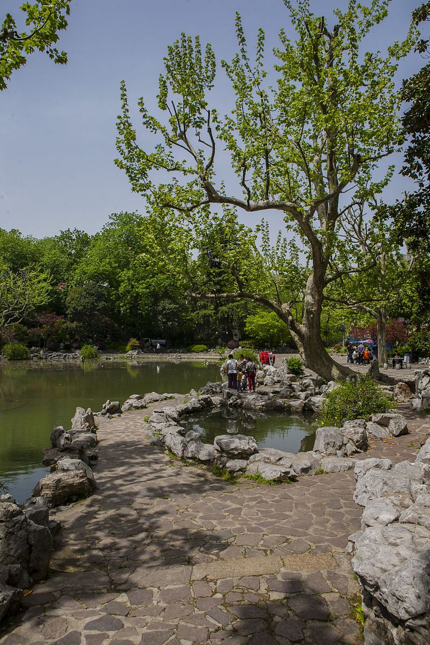 成都玩乐攻略#花重锦官城 成都春日旅游:浣花溪公园,春水潺潺