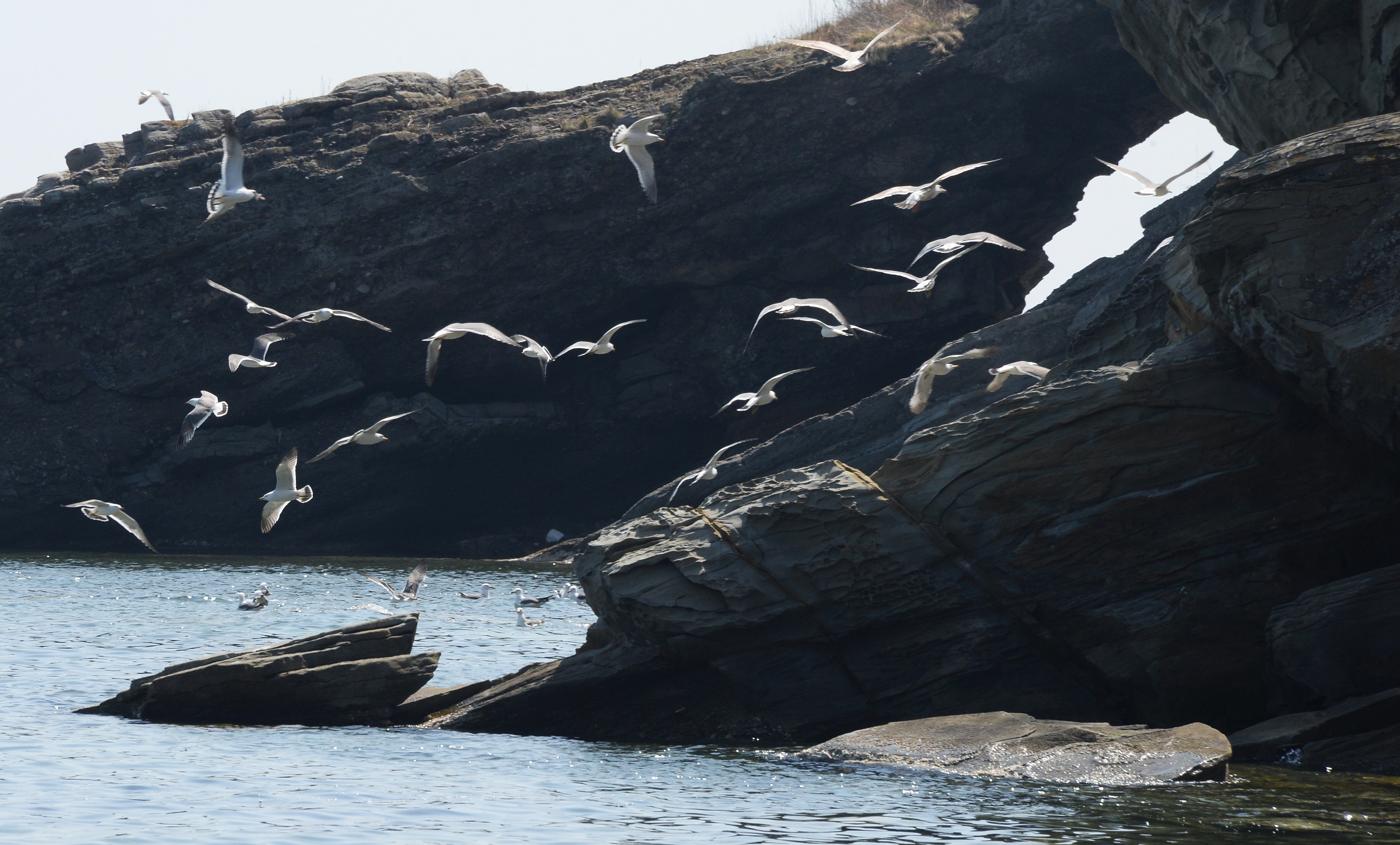 乌苏里湾即景(3)