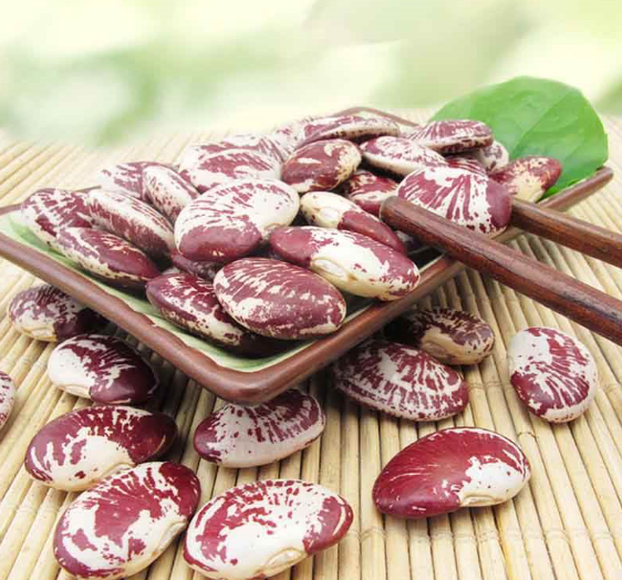 荷包豆也有很不错的健胃功效,同时荷包豆也有强肾的作用,荷包豆有不错