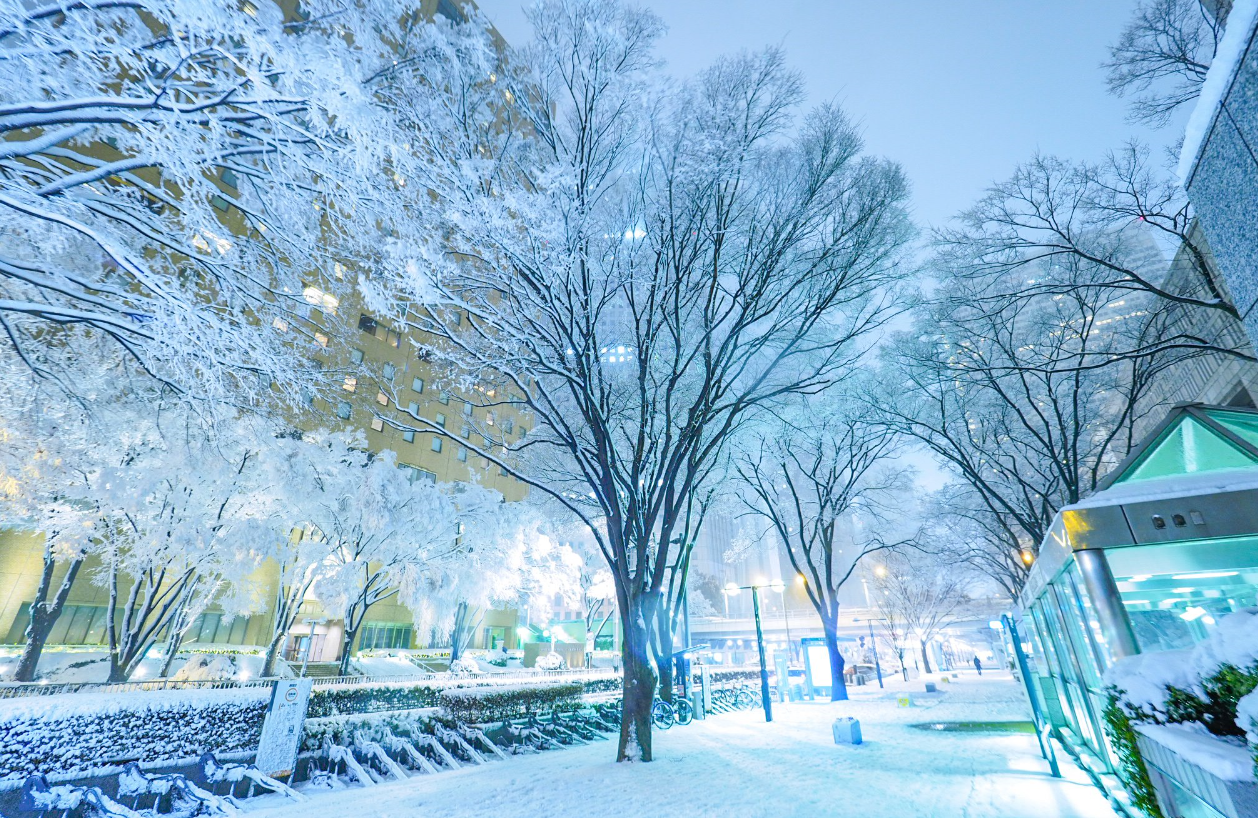 美得令人窒息!東京大雪多摩川雲海雪景引網友瘋傳