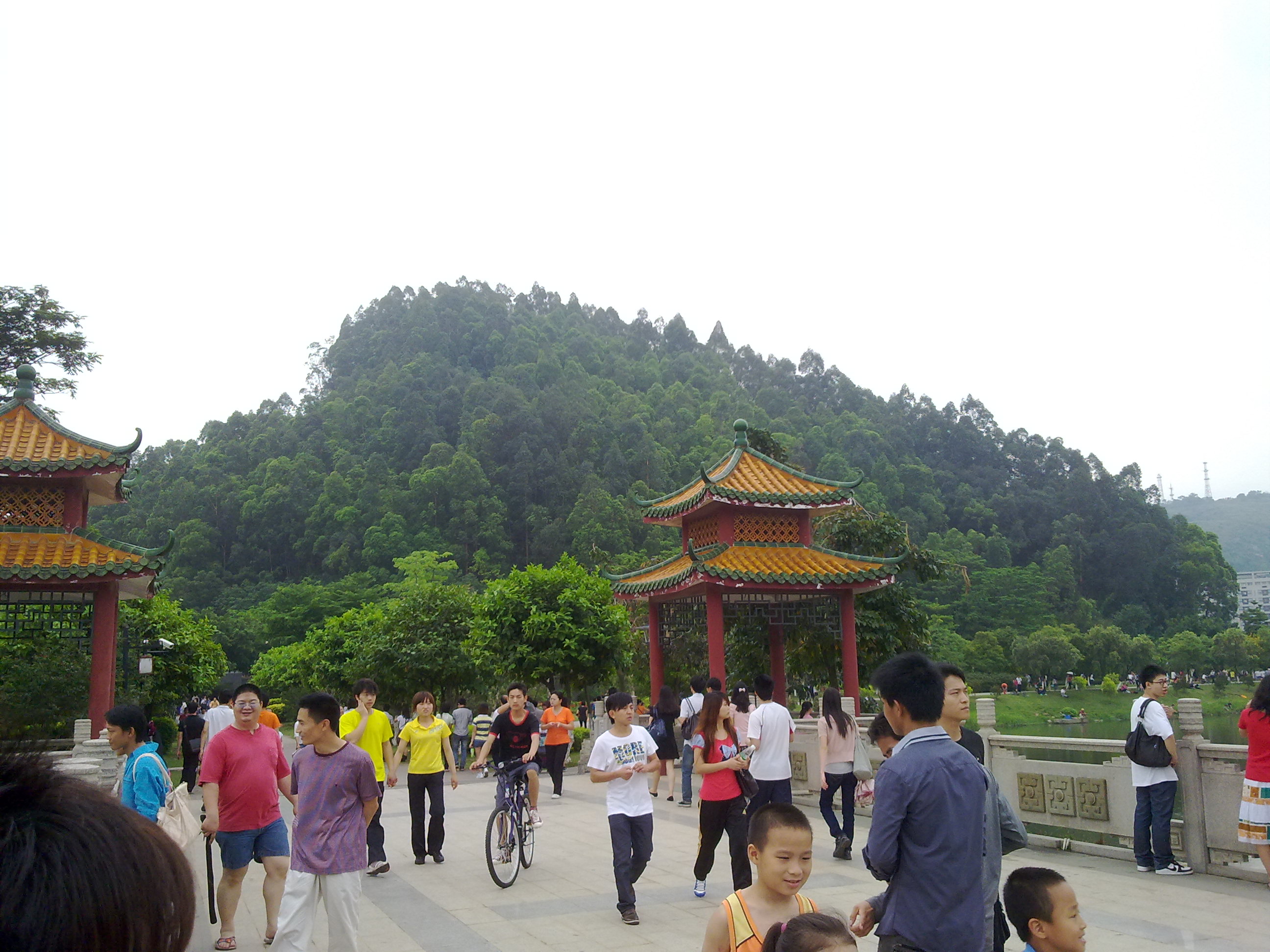 顺峰山公园:顺德区的现代旅游风景区,游人如织