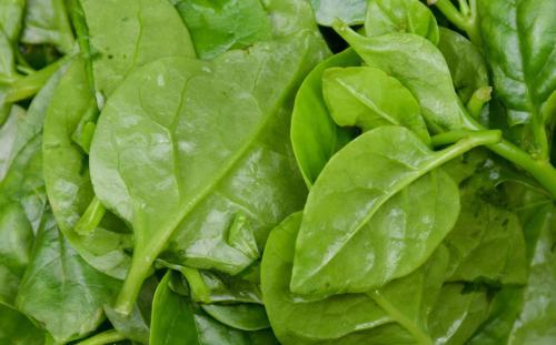 南方"特有"的6种蔬菜,南方人不一定都认识,全吃过的不简单!