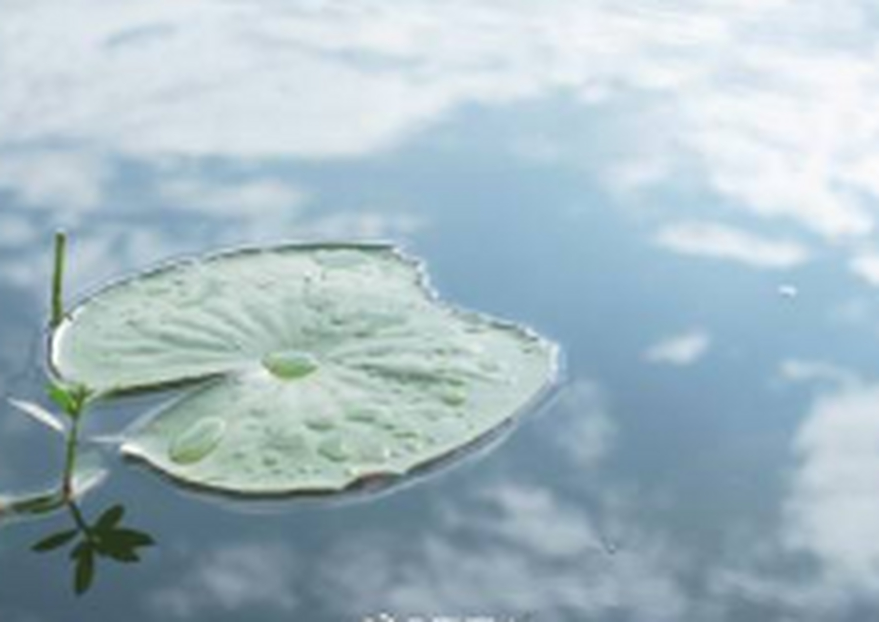 《宿骆氏亭寄怀崔雍崔衮》唐代:李商隐 竹坞无尘水槛清,相思迢递隔重