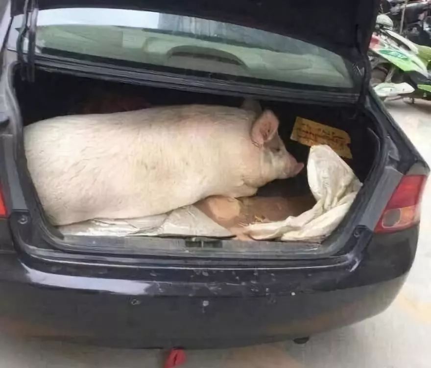 妈,我开学行李箱真的装不下了!说着说着,眼泪不争气就掉下了