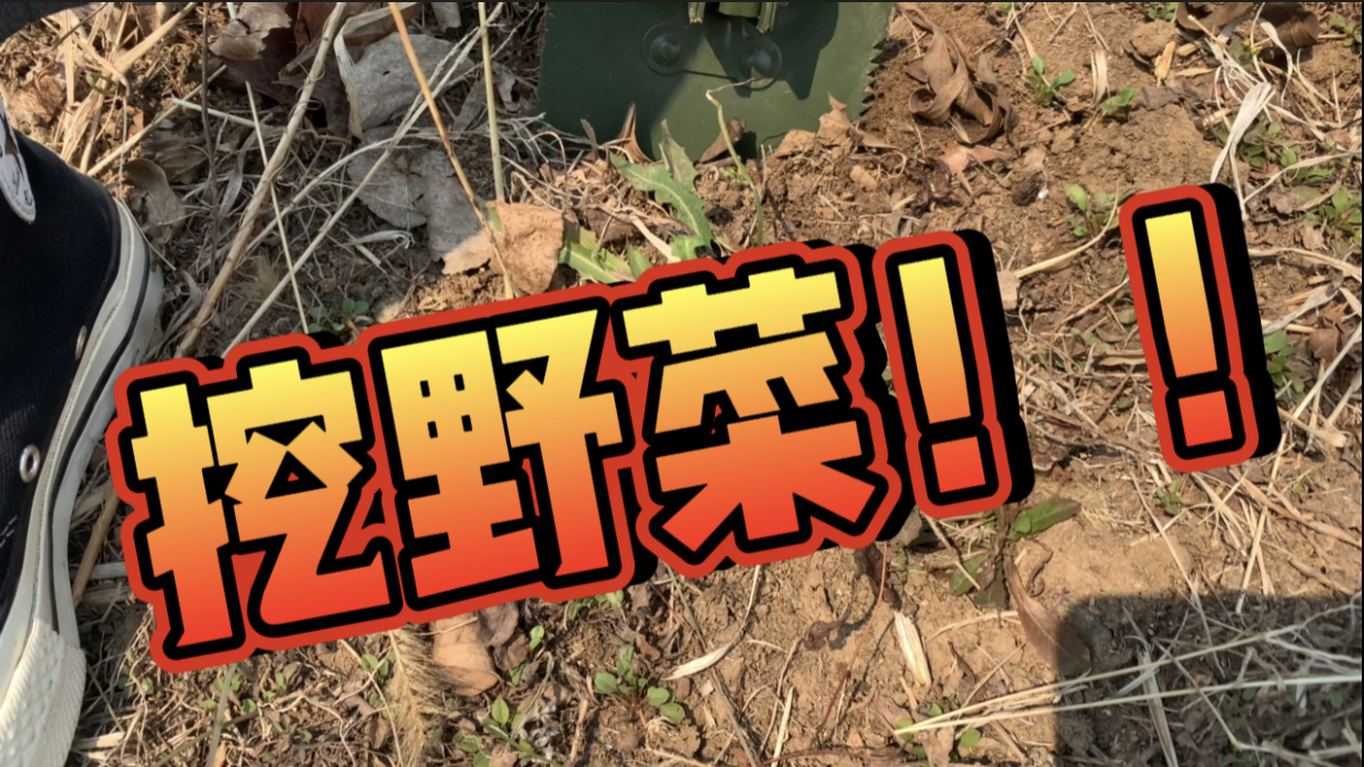 小杨春游|在东北遇到蒙面拿刀的不要害怕!