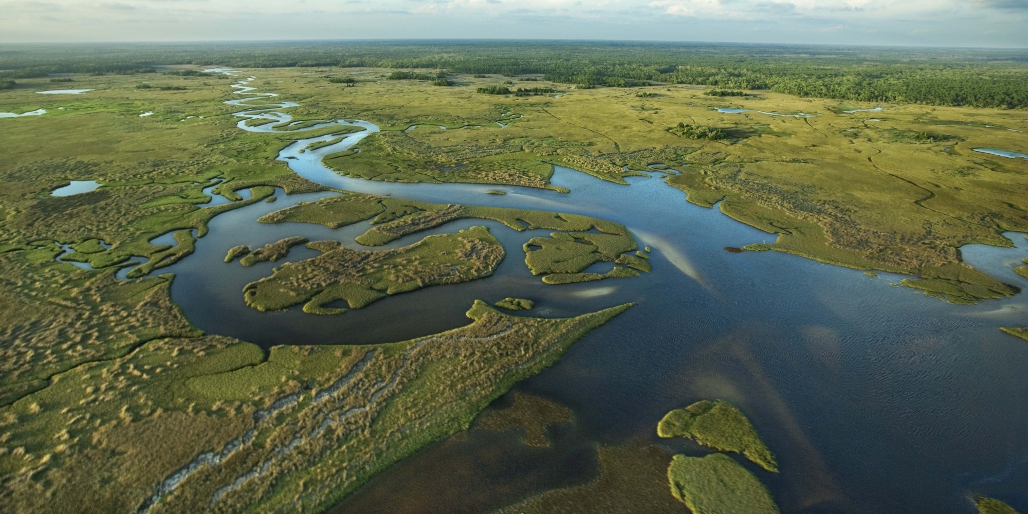 美国大沼泽地国家公园,佛罗里达州的野生动物旅游