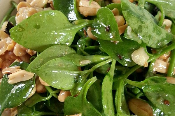 美食精选|我自己竟然学会做凉拌田七了,想想真是美极了!