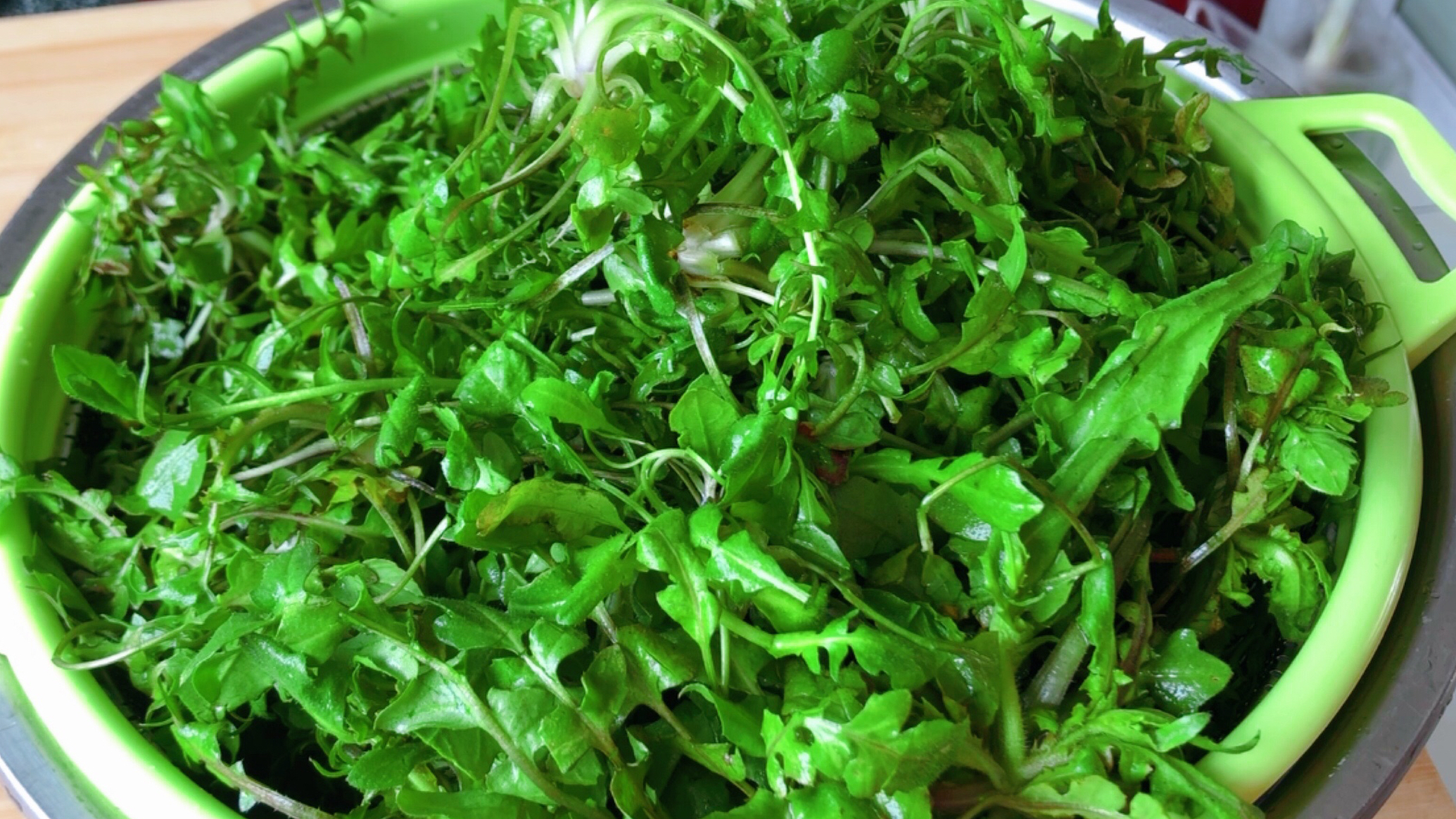 荠菜这样做居然这么好吃,这样一次做一大盘不够吃,吃一次就上瘾