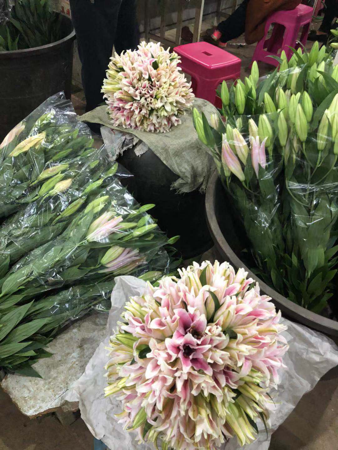 实地探访!周末走进云南昆明斗南花市的百合花市场(多图)