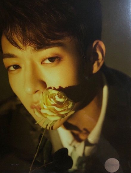 卜凡怼黑粉了,还约了明天下午四点朝阳公园见?