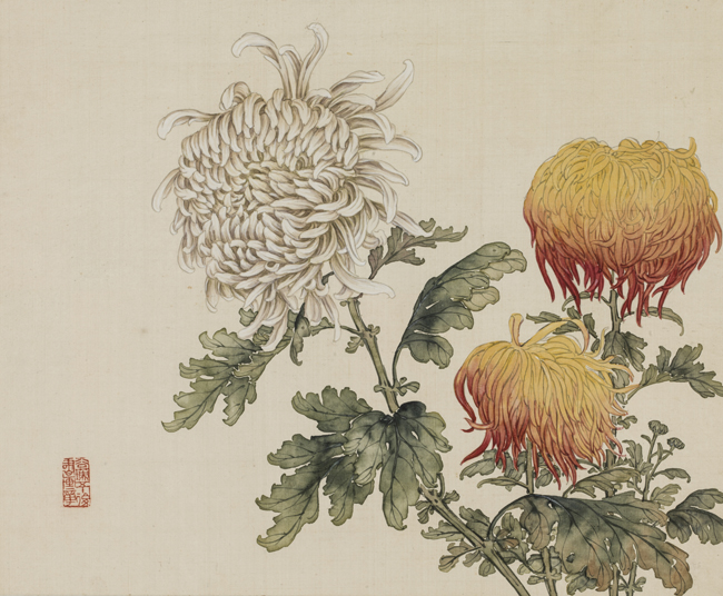 画家笔墨下的百种菊,样样堪称经典