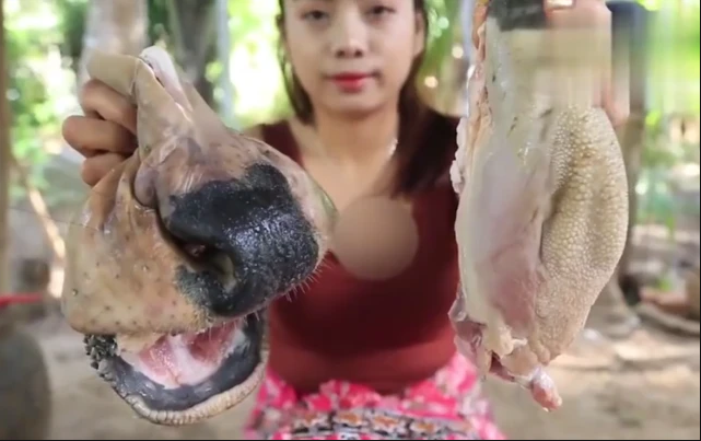 女网红野外直播生吃牛欢喜,网友越看越不对劲,直呼:快停嘴