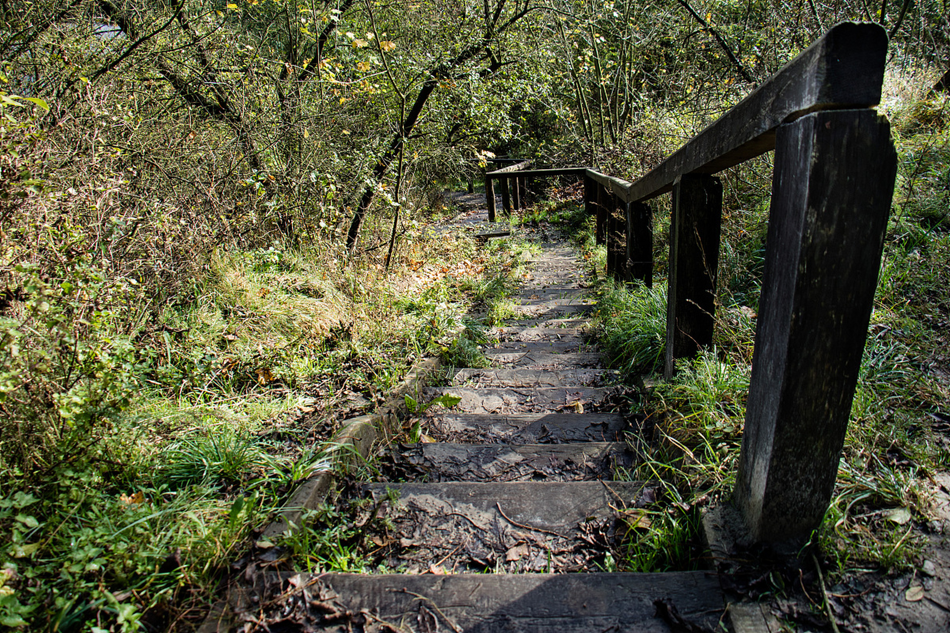 天台南黄古道位于浙江天台县南屏乡与临海市黄坦乡之间,全长约12公里