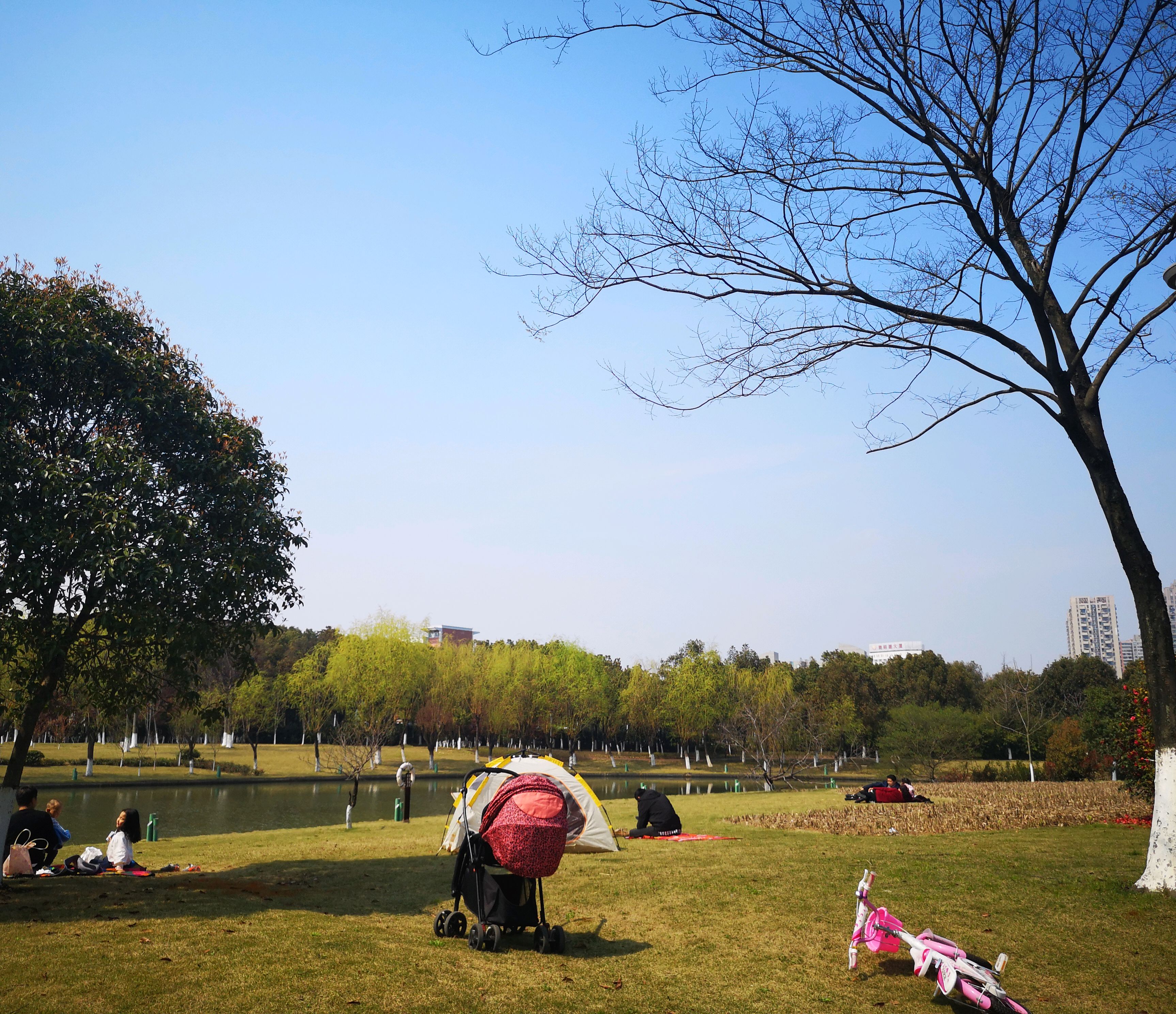 来公园里享受闲暇时光