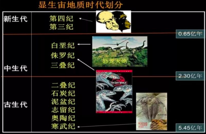 五次生物大灭绝图片