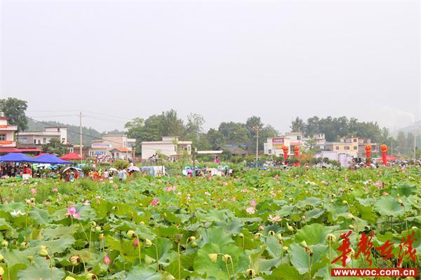 邵阳县白仓镇千秋村图片