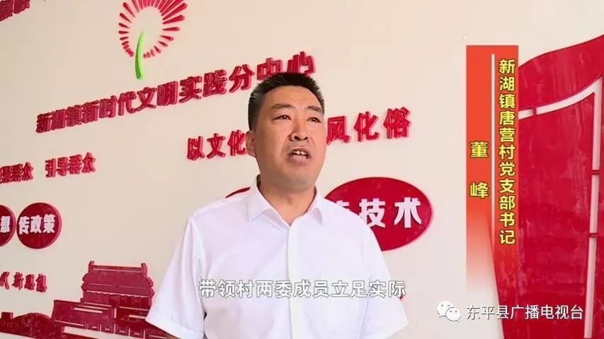 新湖镇唐营村党支部书记董峰:强村富民勇担当