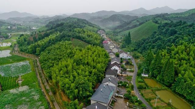 鲁村,有一只白鹭鸶飞过