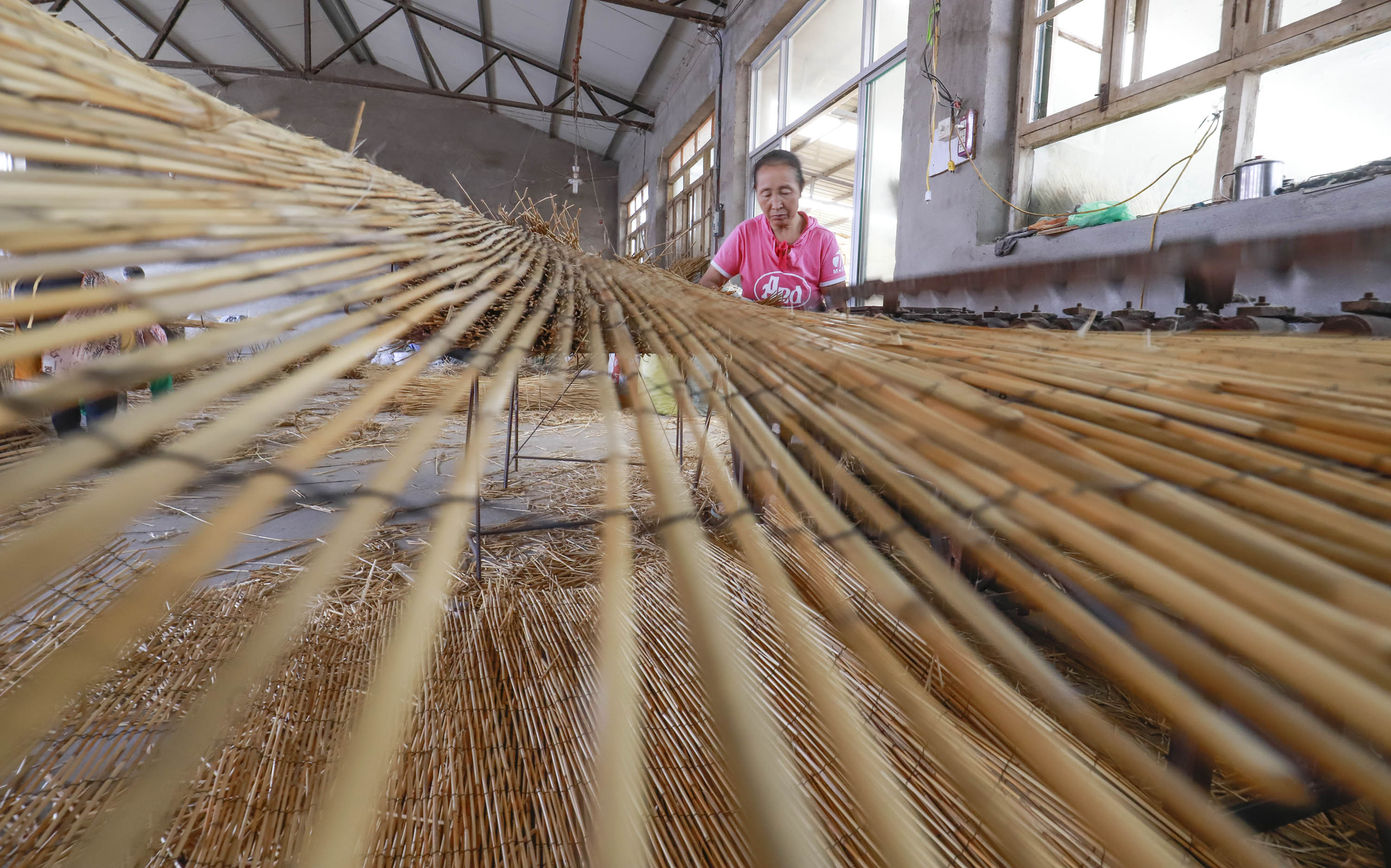 芦苇编织产销忙(2)