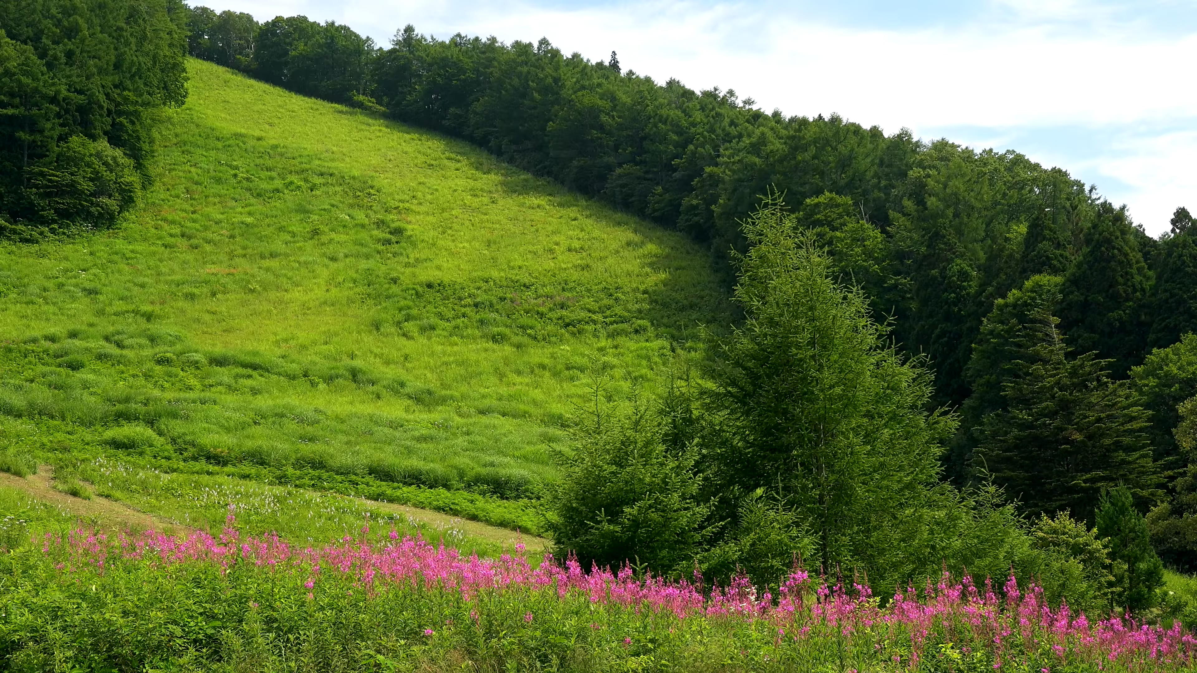 静态风景 第七期