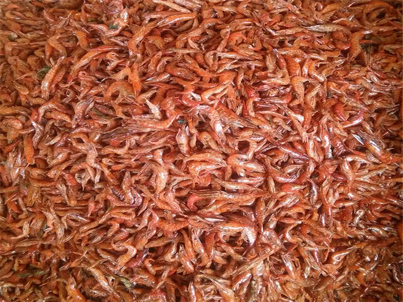 精选湛江野生淡干白虾米,能增强人体的免疫力,且其肉质松软,易消化