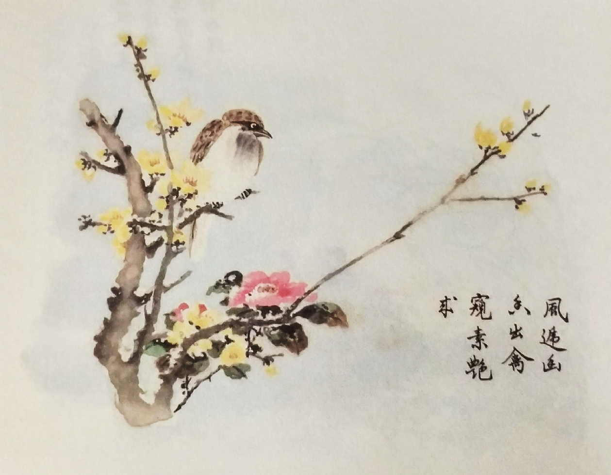 芥子园花鸟画100幅图片