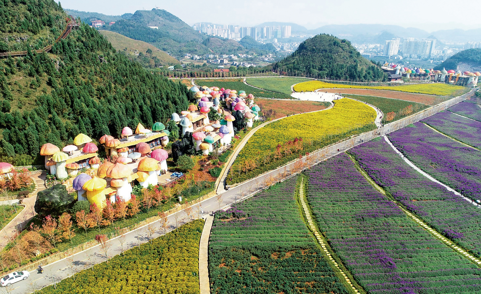 户外胜地 百花兴义